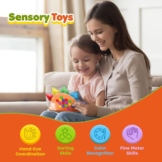 Color Sorting Sensory Squishy Toy for Toddlers