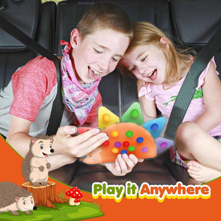 Color Sorting Sensory Squishy Toy for Toddlers