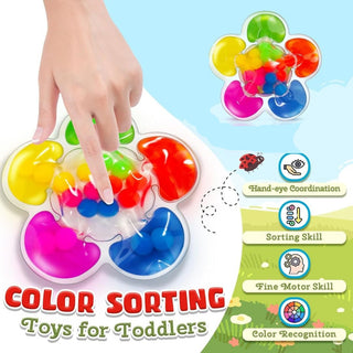 Color Sorting Sensory Squishy Toy for Toddlers