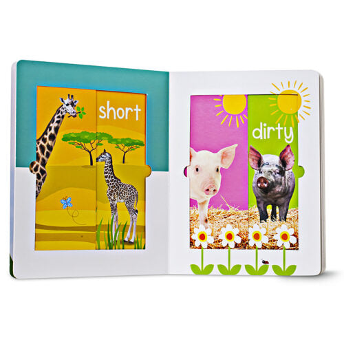 big and small animals book