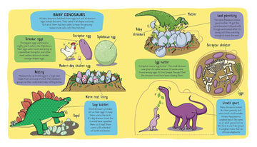 Little Explorers: Dinosaurs Flap Book