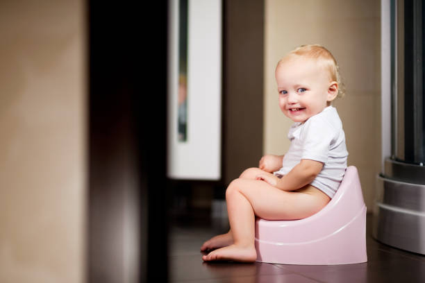 From Diapers to Big Kid Undies: Navigating the Potty Training Journey