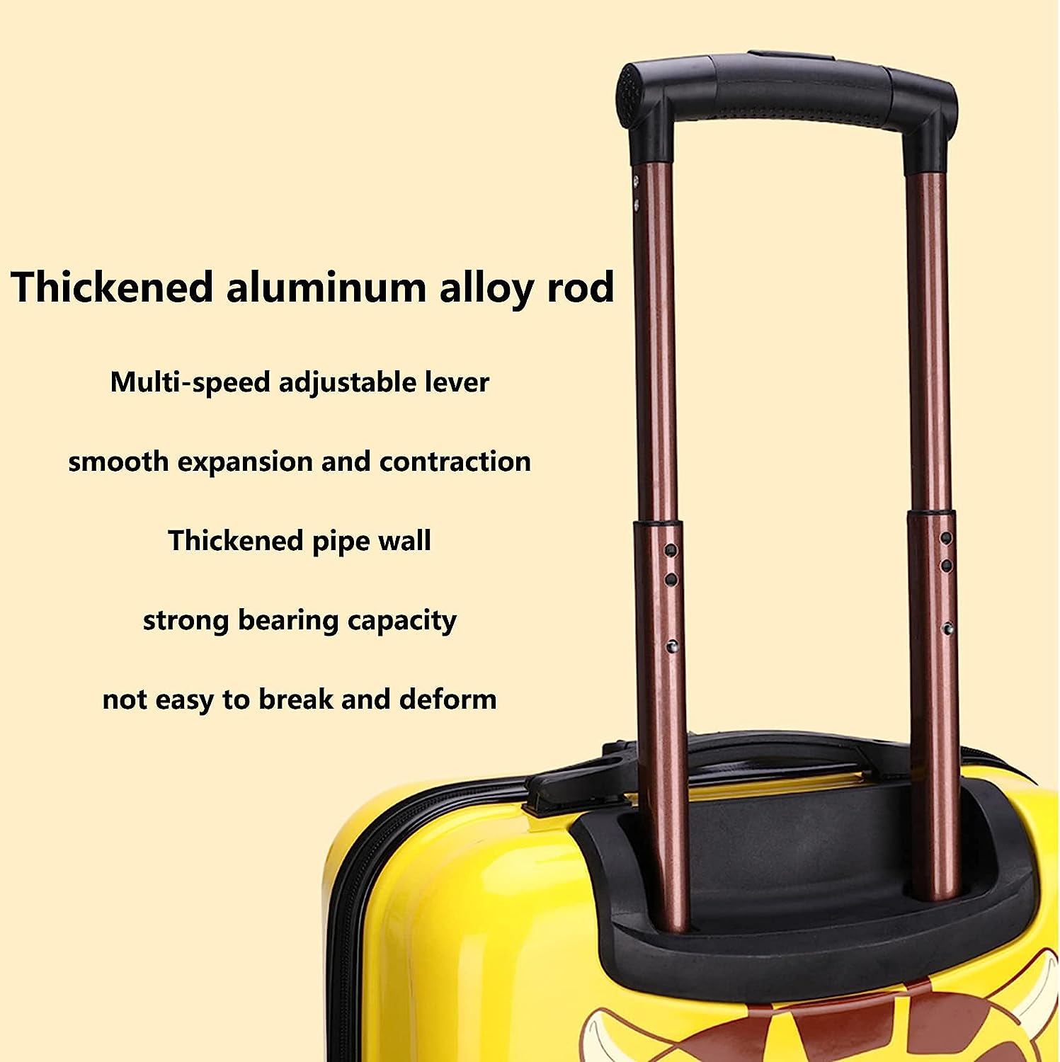  Trolley Bag with Password Lock
