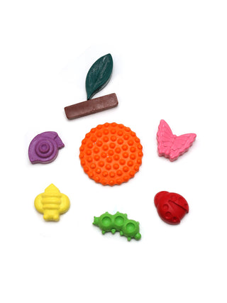 Garden Design Crayons Set of 8