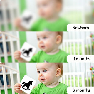 Tiny Vision Flashcard for Kids