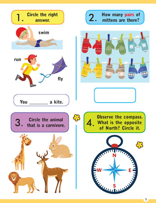 Brilliant Brain Activity Book 6+