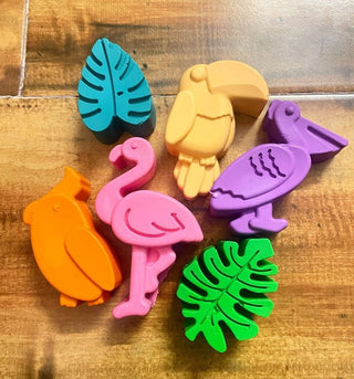 Birds Design Crayons Set of 6