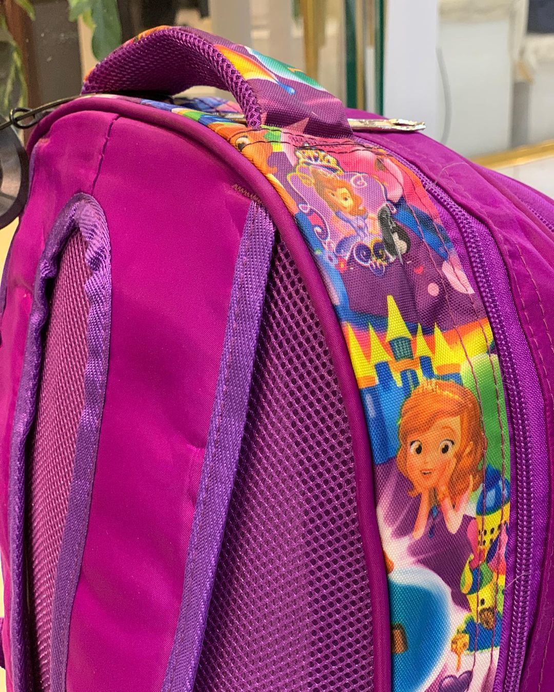 Hardshell Backpack