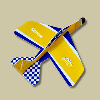 Thunderbird Boomerang Plane – Easy-to-Fly for Kids & Outdoor Fun (Random)