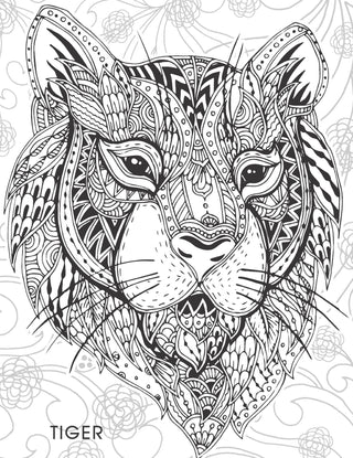 Creative Doodle Colouring - Animals & Birds