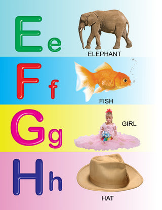 My First All in One Board Book