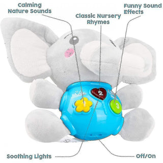  Musical Animal Toy