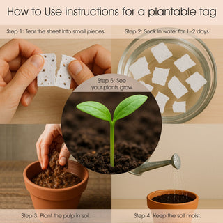 Plantable Gift Tag - Spring Bloom - 24 Tags (PREPAID ONLY)
