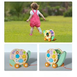 Wooden Alligator Push Toy & Shape Sorter for Toddlers