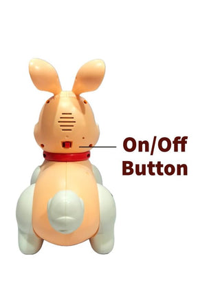 Rabbit Walking Toy with Flashing Lights and Musical Fun for Babies (Random Colour)