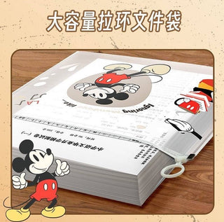 A4 Transparent Folder 