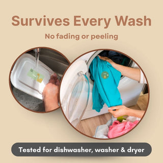 Personalized Name Labels Combo - Dino Roar - Pack of 54 (PREPAID ORDER)