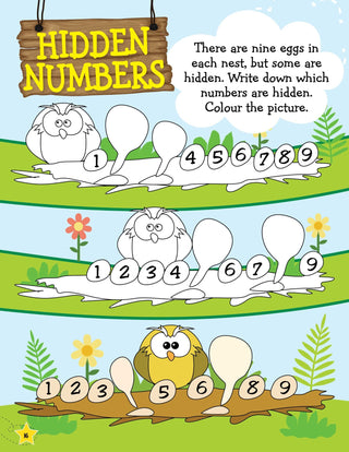 Learn Everyday Early Maths - Age 4+