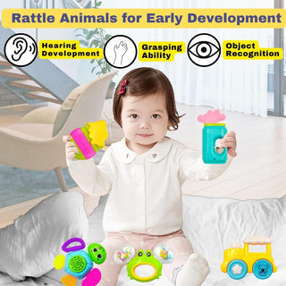 Rattles Toys for Babies Sound Rattle Toy (5 Rattle Set)