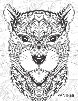 Creative Doodle Colouring - Animals & Birds