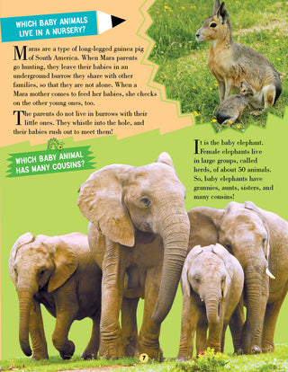Animal World Children Encyclopedia for Age 5 - 15 Years- All About Trivia Questions and Answers