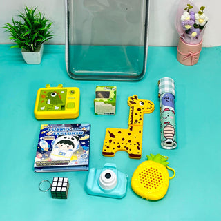 Little Genius Play Set