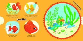 My Magic Wheel Board Book (Animal Around Me)