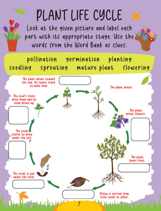 Science Activity Book Age 6+