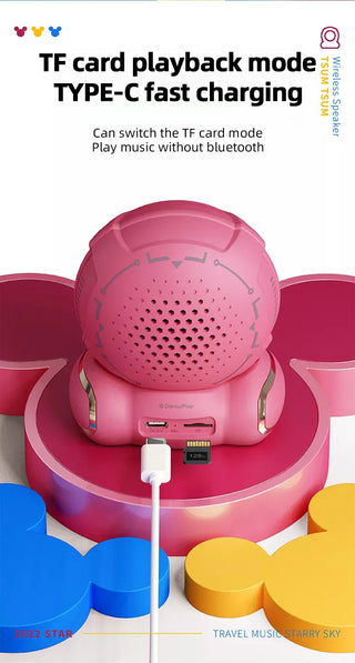 Disney Themed Speaker