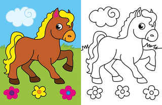 Best Colouring - Pack of (5 titles)