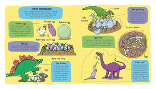 Dinosaurs Flap Book