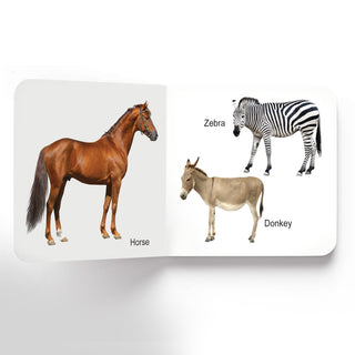 Lovely Board Books Gift Pack (10 Titles) : Board Book for Kid