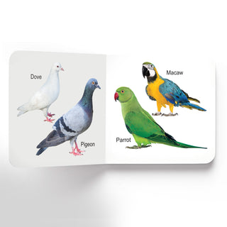 Lovely Board Books Gift Pack (10 Titles) : Board Book for Kid