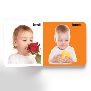 First Padded Board Book - Pack (10 Titles)