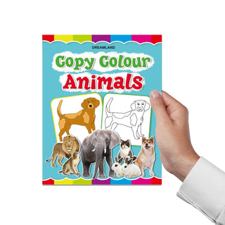 Copy Colour Book - 1 to 6 (Pack)