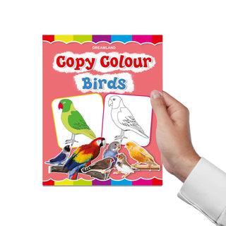 Copy Colour Book - 1 to 6 (Pack)