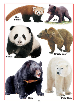 Baby First Pre School – 8 Books Pack