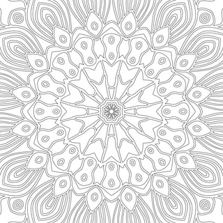 Refreshing Mandala- Colouring Book for Adults Book 1
