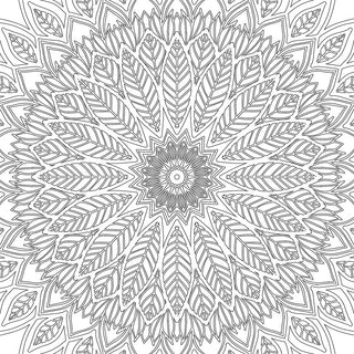 Refreshing Mandala- Colouring Book for Adults Book 2