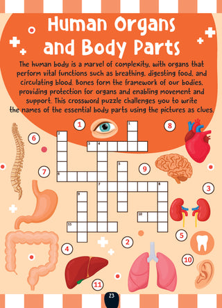 The Little Scientists Activity Book for Kids Age 6+