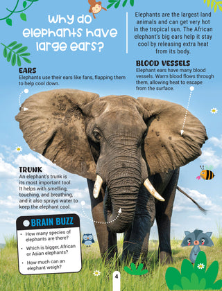 Factopedia Wild Wonders: A Fun Fact Book About Wildlife, Nature & Creatures for Kids Age 6+