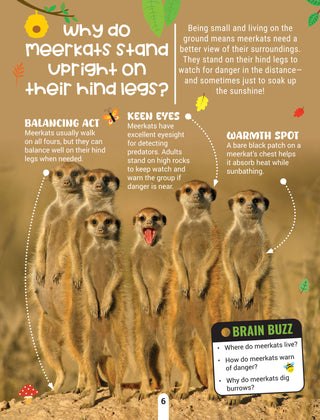 Factopedia Wild Wonders: A Fun Fact Book About Wildlife, Nature & Creatures for Kids Age 6+