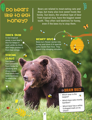 Factopedia Wild Wonders: A Fun Fact Book About Wildlife, Nature & Creatures for Kids Age 6+