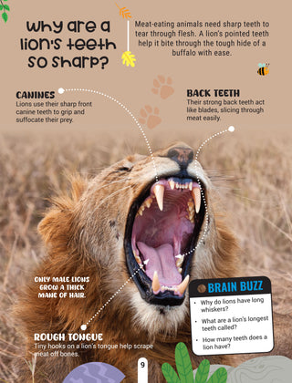 Factopedia Wild Wonders: A Fun Fact Book About Wildlife, Nature & Creatures for Kids Age 6+