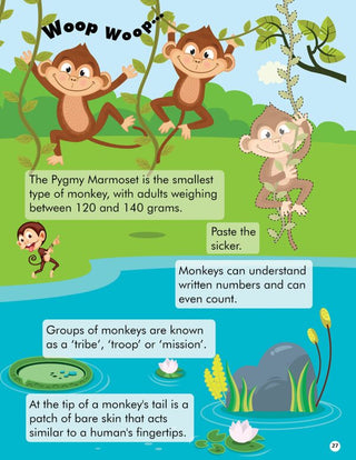 Explore the Jungle Activity Book with Stickers and 3D Models