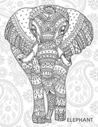Creative Doodle Colouring - Animals & Birds