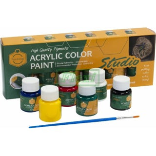 6pc 25ml Acrylic Paint with Color Palatte and Brush