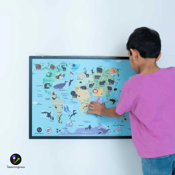 Animals Found in The Continent Magnetic Board