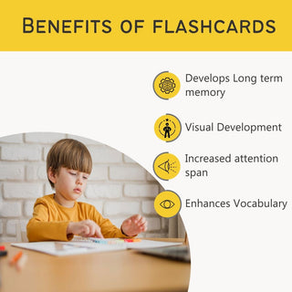 Birds Flash Cards for Kids