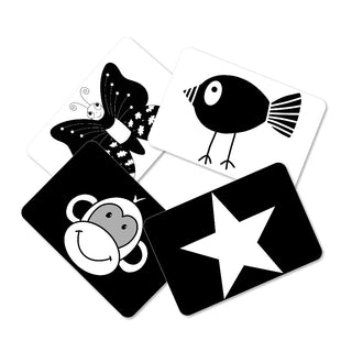 High contrast Flashcards
